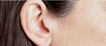 Ears Ears